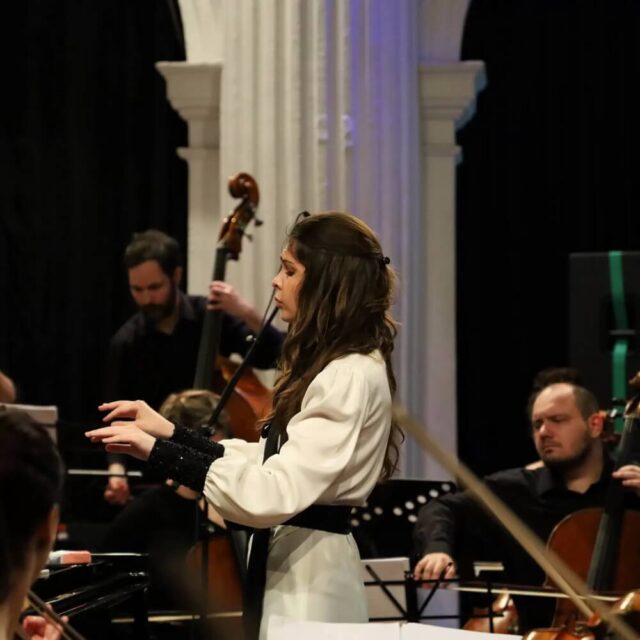 Kamerni orkestar Sonore