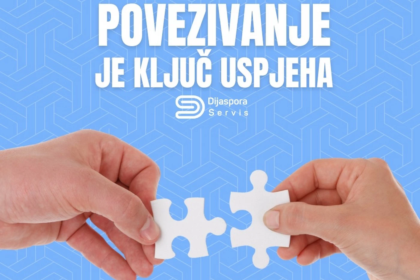 Dijaspora Servis - BiH
