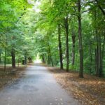 Schwarzenbergpark u 17. bečkom okrugu