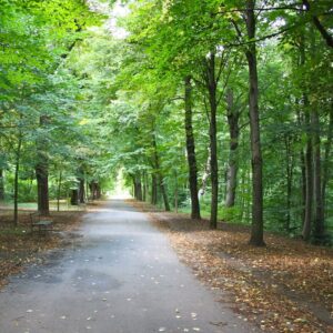 Schwarzenbergpark u 17. bečkom okrugu